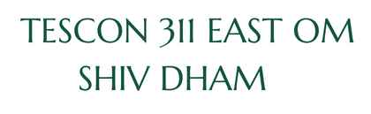 Tescon Om Shivdham 311 East Logo